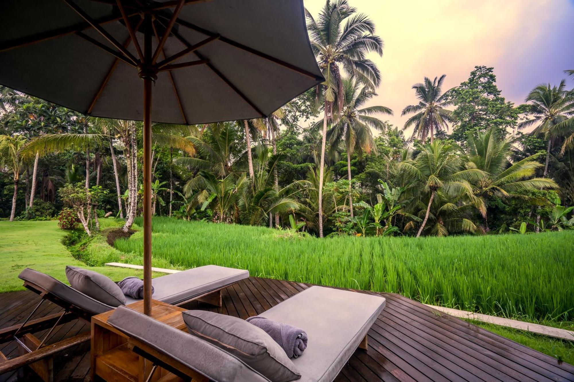 Olirine By Balisuperhost * Ubud